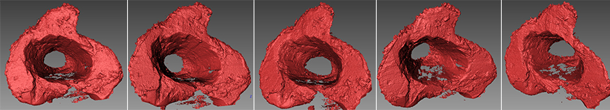 3D Body Scanner 3dscans