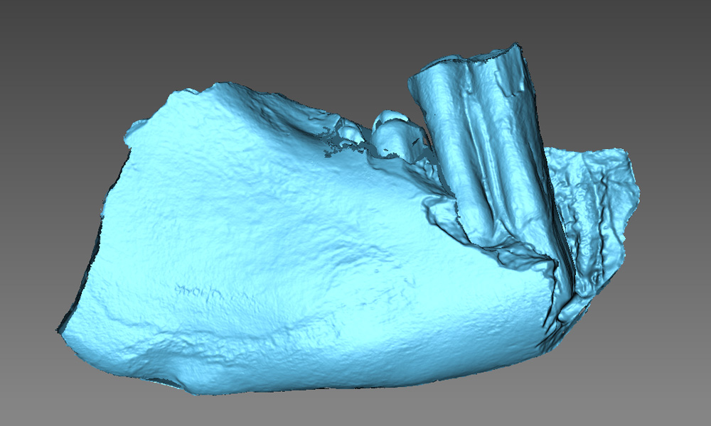 cultural heritage archeology baby skeleton 3d scanning sample meles